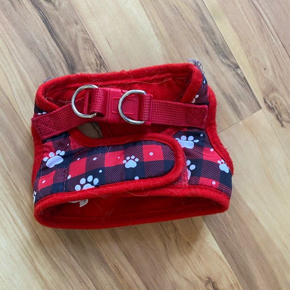 Treat your little fur ball size XS - Picture 15 of 16